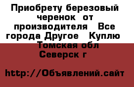 Приобрету березовый черенок  от производителя - Все города Другое » Куплю   . Томская обл.,Северск г.